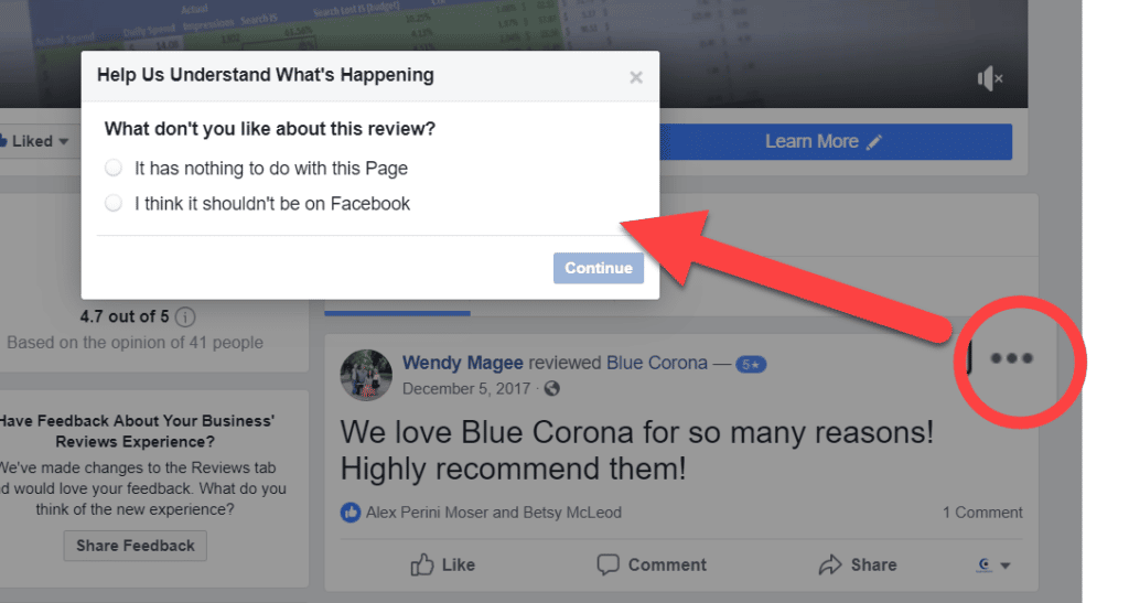 my facebook reviews are not showing